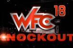 Live pay-per-view for WFC 18: Knockout won't be available in Slovenia